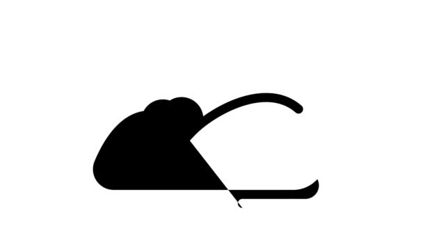 Світла миша чорна іконка анімації — стокове відео
