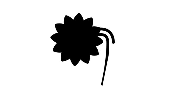 Sunflower plant black icon animation — Video