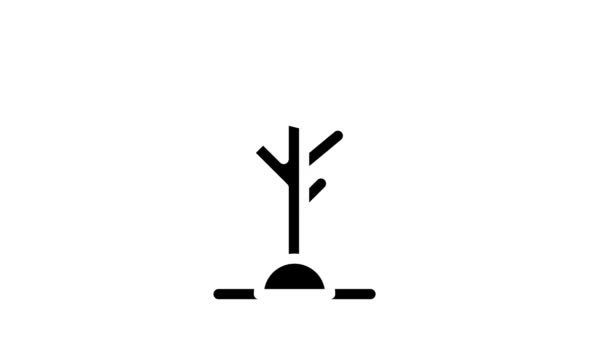 Olijfboom glyph pictogram animatie — Stockvideo