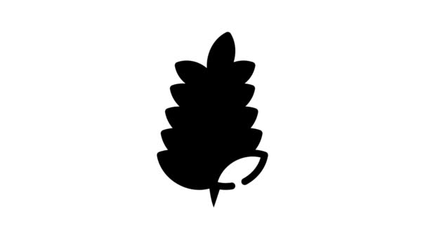 Plant branch black icon animation — Stock Video