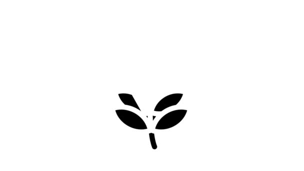 Animacja ikony gałęzi roślin glif — Wideo stockowe