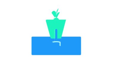 Hidroponik renk canlandırması