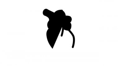 kalp insan organı siyah simge animasyonu