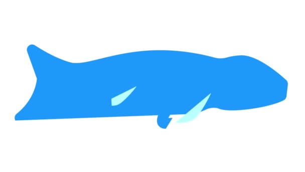 Mosasaurus dinosaurus kleur pictogram animatie — Stockvideo