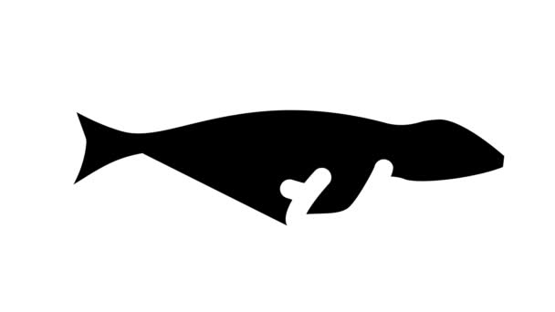 Mosasaurus dinosaurus zwart pictogram animatie — Stockvideo