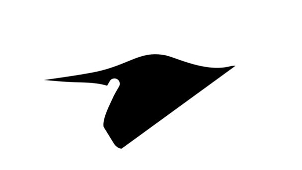 Spinosaurus dinosaur glyph icon animation — Stock Video