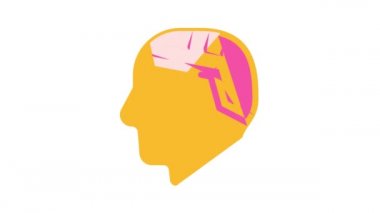 çözüm bulunması, labirent renk simgesi canlandırması