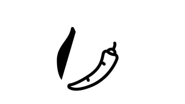 Picante pimienta negro icono de animación — Vídeos de Stock