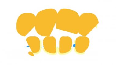 Diş rengi ikonu animasyonunda onlays