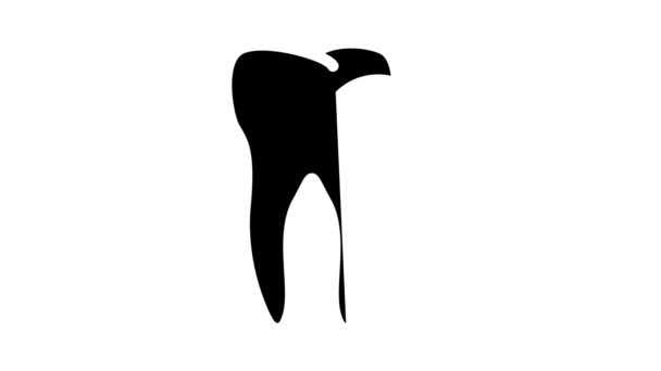 Tooth cutting ache glyph icon animation — Stock Video