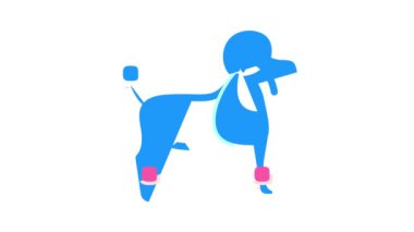 köpek kanişi renk canlandırması