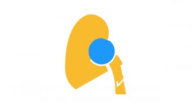 böbrek kesme rengi simgesi canlandırması