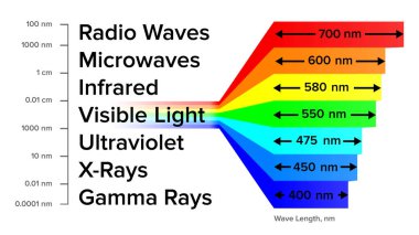 Elektromanyetik Spektrum Bilgisi Gamma Işınları Şema Vektörü
