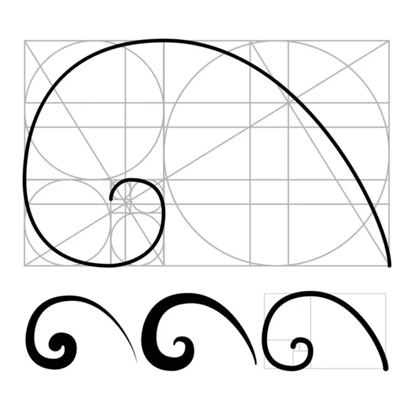 Nautilus Golden Ratio Set geometrico a spirale vettoriale — Vettoriale Stock