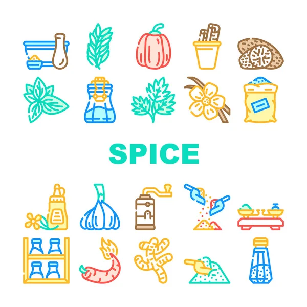 Spice Vegetable Food Collection Icons Set Vector Palitos Vainilla Especias — Archivo Imágenes Vectoriales