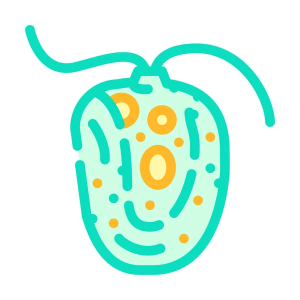 Chlamydomonas reinhardtii algas color icono vector ilustración — Vector de stock