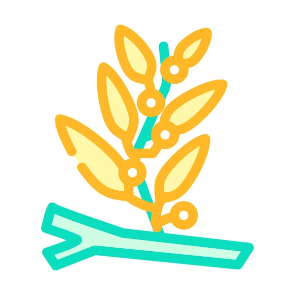 Sargassum algas color icono vector ilustración — Archivo Imágenes Vectoriales