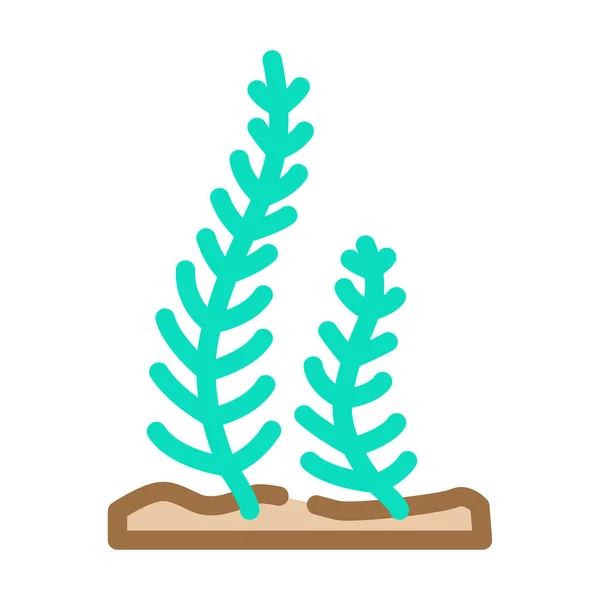 Caulerpa taxifolia deniz yosunu renk ikonu çizimi — Stok Vektör