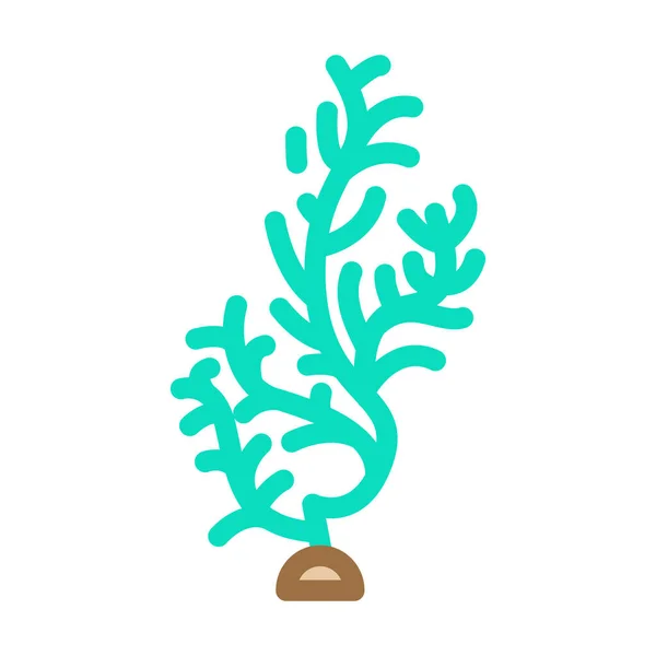 Cladophora glomerata seaweed color icon vector illustration — Stock Vector