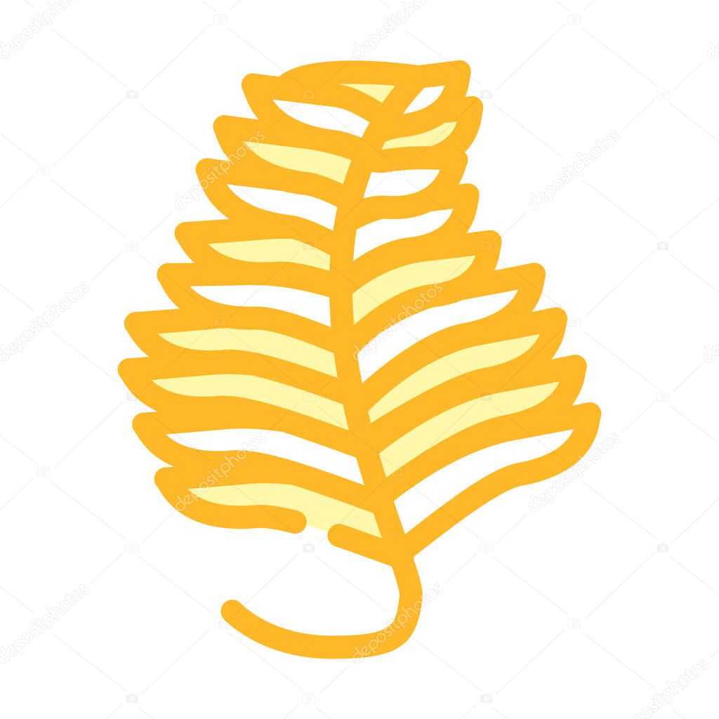 undaria plumose seaweed color icon vector illustration