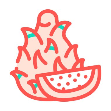 ejderha meyvesi renk vektör illüstrasyonu