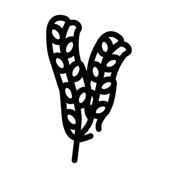 Fucus vesiculosus Algen Linie Symbol Vektor Illustration — Stockvektor