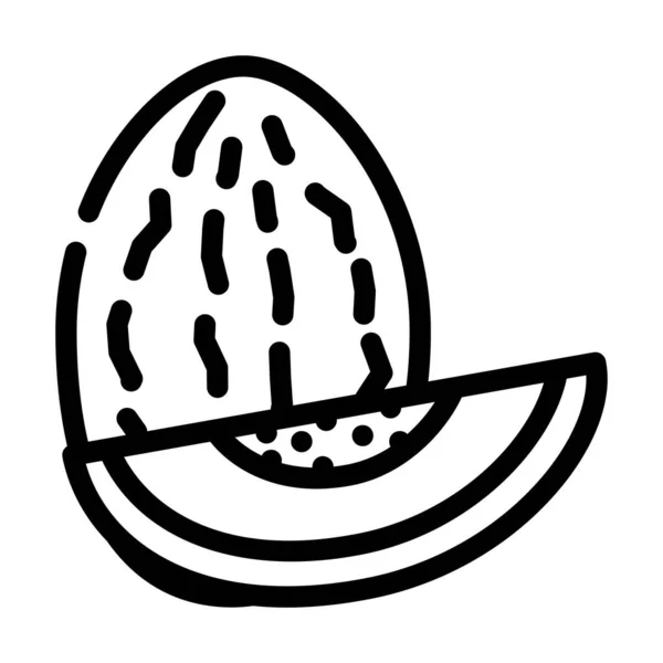 Melone linea di frutta icona vettoriale illustrazione — Vettoriale Stock