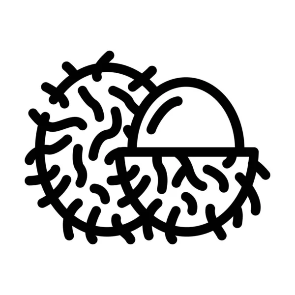 Rambutane Fruchtlinie Symbol Vektor Illustration — Stockvektor