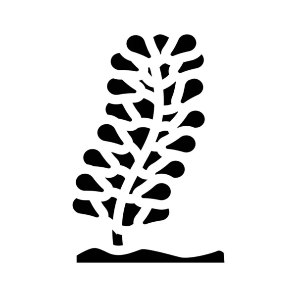 Caulerpa lentilentillllllllilliffera seaweed glyph icon illustrate — 스톡 벡터