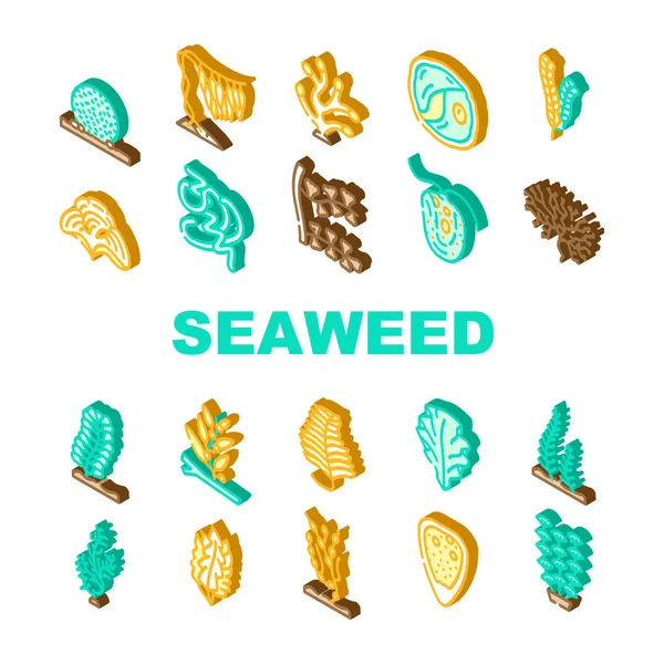 Seaweed Sea Underwater Plant Icons Set Vector — Stock Vector
