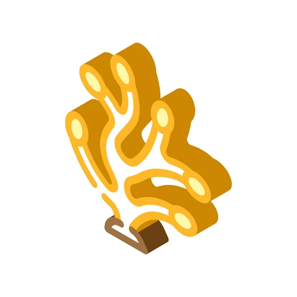 Pelvetia grooved seaweed isometric icon vector illustration —  Vetores de Stock