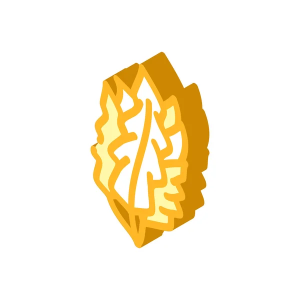 Japoński wodorosty wodorosty izometryczne ikona wektor ilustracja — Wektor stockowy