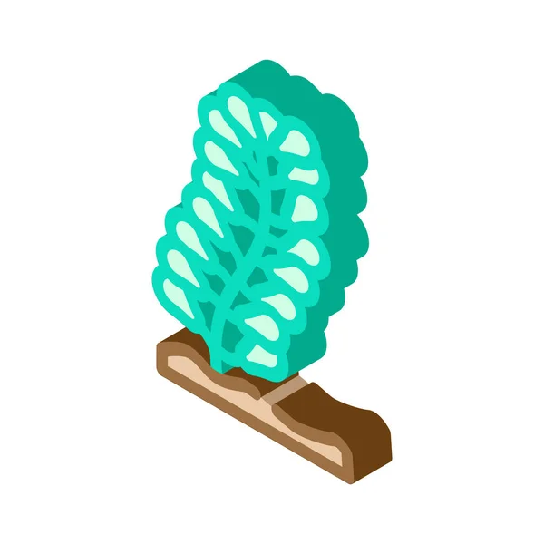Caulerpa lentillifera seaweed isometric icon vector illustration — Stock Vector