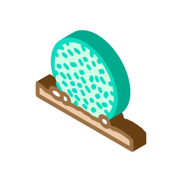 Egagropylus linnaeus seaweed isometric icon vector illustration — Stock Vector