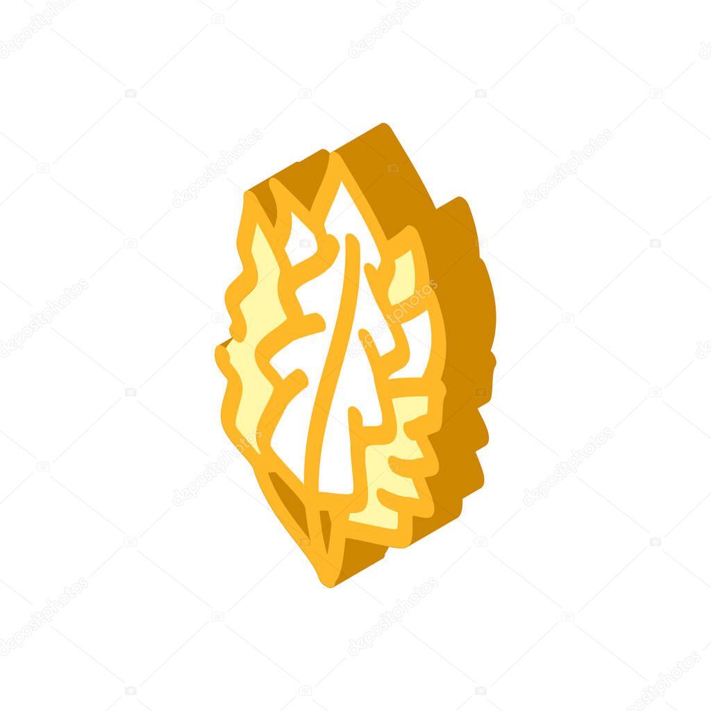japanese kelp seaweed isometric icon vector illustration
