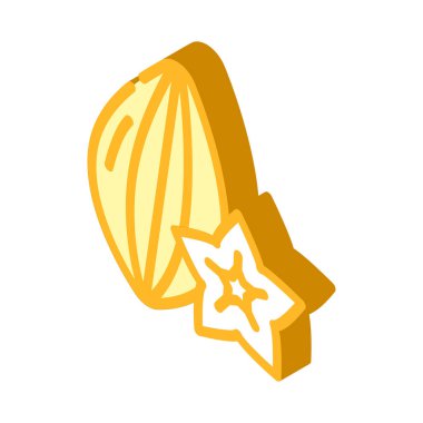 yıldız meyvesi izometrik ikon vektör çizimi