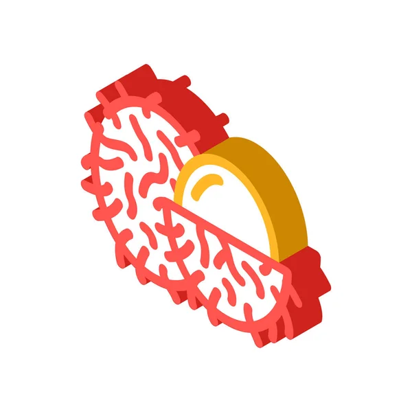 Rambutans frukt isometrisk ikon vektor illustration — Stock vektor