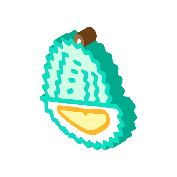 Durian fruit icône isométrique illustration vectorielle — Image vectorielle