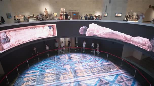 Het Nationaal Museum Van Egyptische Beschaving Nmec Caïro Egypte Interieur — Stockvideo