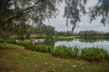 Orlando, Florida, ABD-10 Aralık 2025: Celebration, Florida, Orlando yakınlarında 1990 'larda The Walt Disney Company tarafından geliştirilen eşsiz, büyük planlı bir kasabadır. Öğleden sonra çekimi.