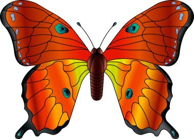 Butterfly clipart