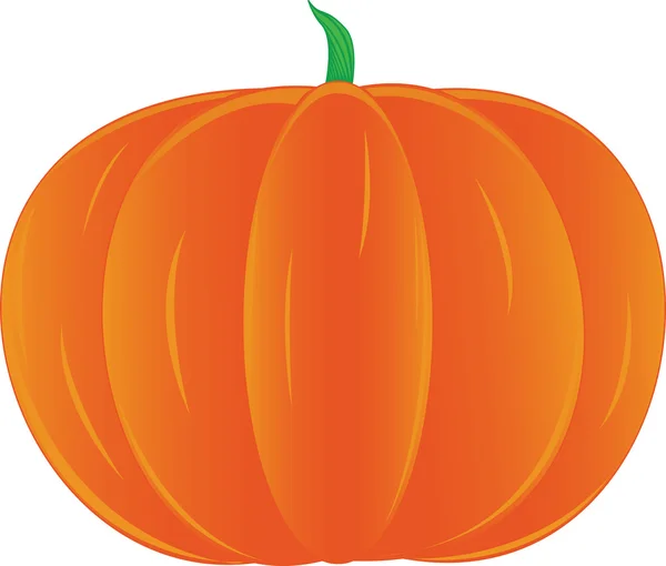 Pumpkin — Stock Vector