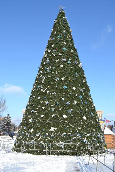 Christmas tree — Stock Photo, Image