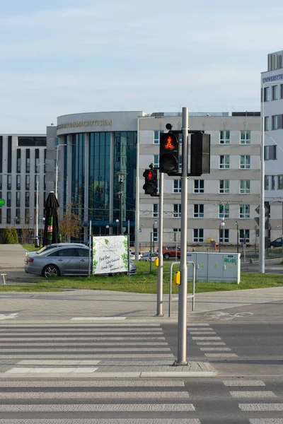 Rood verkeerslicht voor voetgangers op straat — Stockfoto