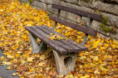 Dřevěná lavička obklopená a pokrytá barevnými podzimními listy