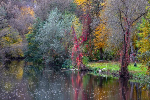 Río Glan Alemania Rodeado Árboles Colores Otoñales — Foto de Stock