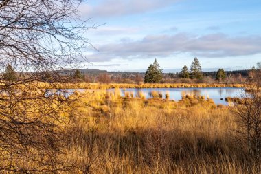 Sonbaharda High Fens 'te bataklık manzarası 