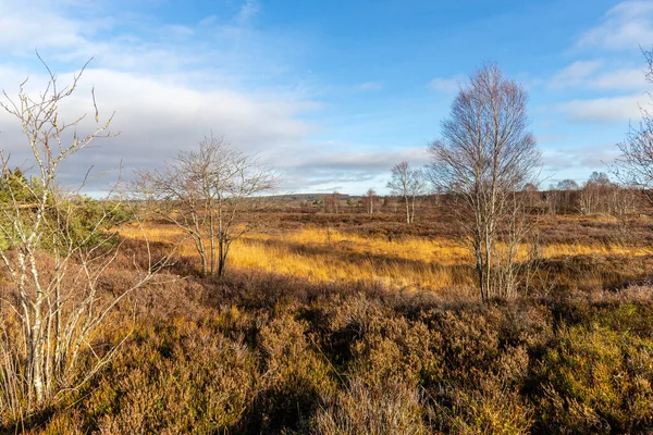 Barevná Krajina High Fens Belgii Podzim — Stock fotografie