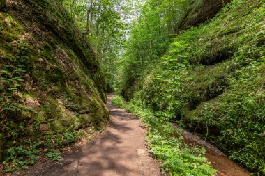 Drachenschlucht, Eisenach, Thüringen yakınlarındaki Ejderha Geçidi 'nde yürüyüş ve akarsu.