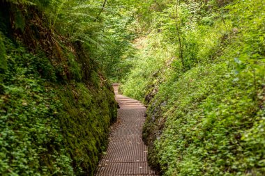 Drachenschlucht 'da yürüyüş yolu, Eisenach, Thüringen yakınlarındaki Ejderha Geçidi.